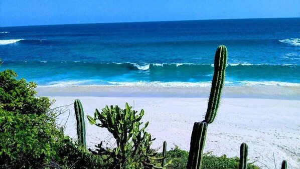 Playa