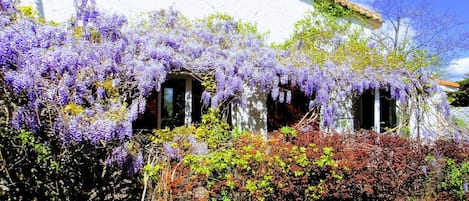 Gîte Glycine au gite les Coquilloux à Montpellier