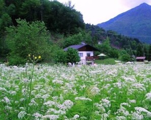 Boendeområde