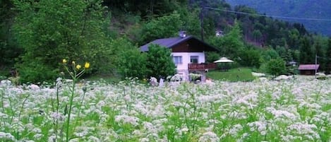 Jardines del alojamiento