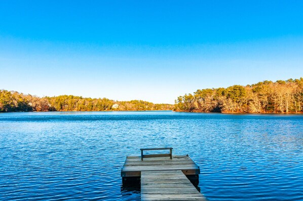 Welcome to Lake Daze!