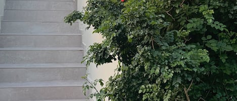 Detalj exteriör