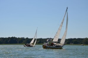 Divers