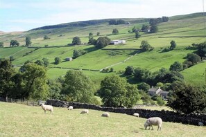 View from Hill Top Cottage in Walden dale near West Burton in the Yorkshire Dales
