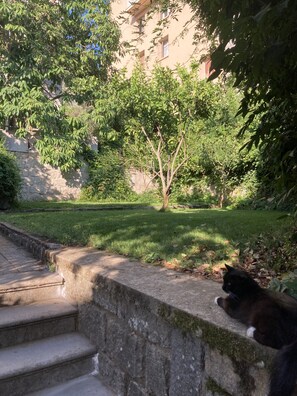 Property grounds
