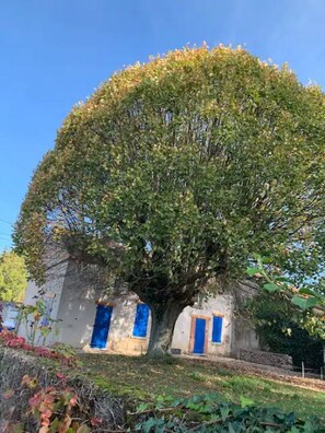 Extérieur