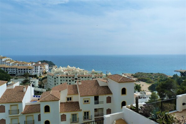 Beach/ocean view