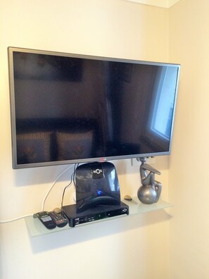 Television