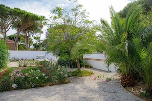 Another view of the front garden with pomegranate, oleanders, jacarandaand palms