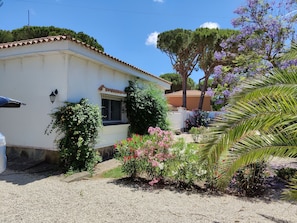 The front garden and driveway for four cars