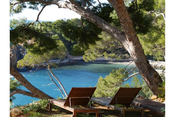 Vue depuis le jardin (solarium)