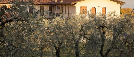 Il piccolo residence immerso nel verde di ulivi e vigneti