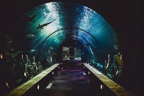 Santa Monica Pier Aquarium