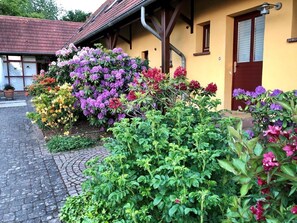 "Casa WaBik"