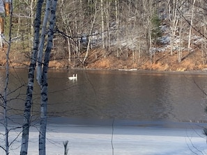 Boendeområde