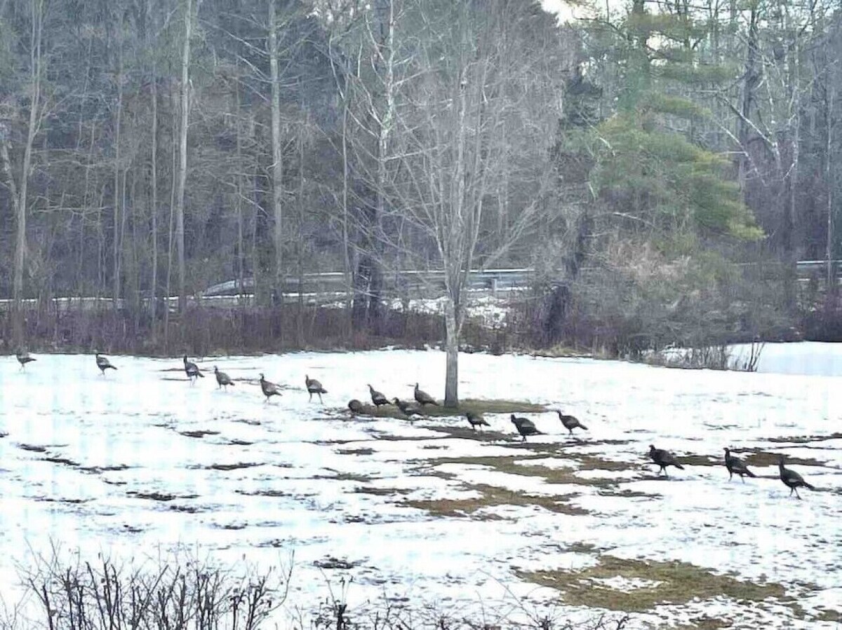 Close to Lime Rock, Prep Schools, 3 Ski Areas