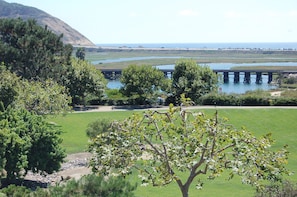 View from private park in condo complex 