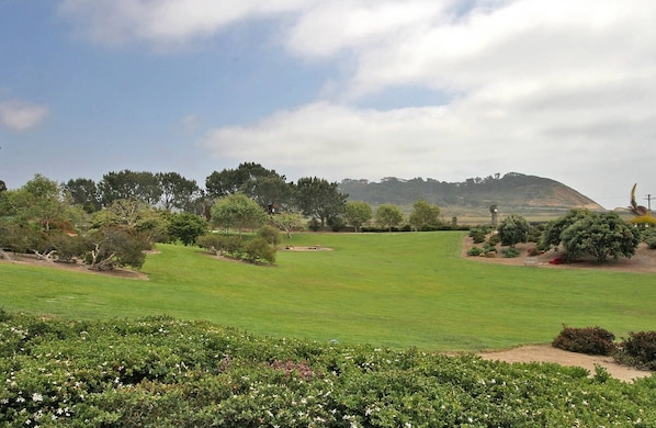Community park