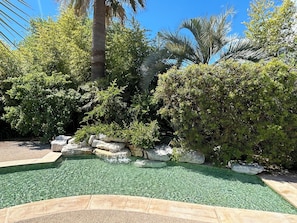 Piscine-lagon