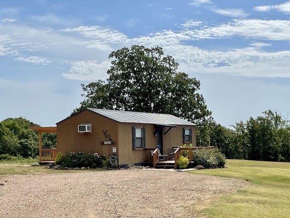 Driveway to the Deer Cabin