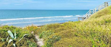 Beautiful Pukehina Beach