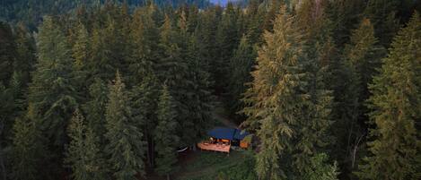 Welcome to The Forest Cabin at Kootenay Lakeview Retreats, a nature retreat! 