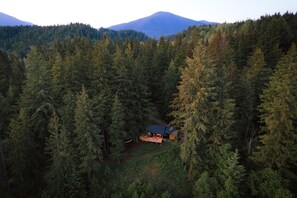 Welcome to The Forest Cabin at Kootenay Lakeview Retreats, a nature retreat! 