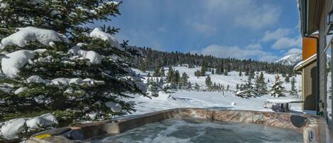 Gorgeous view from the deck and hot tub.