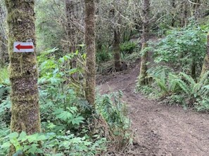 A look at a portion of many miles of trails. 