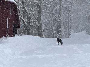 Sports d’hiver