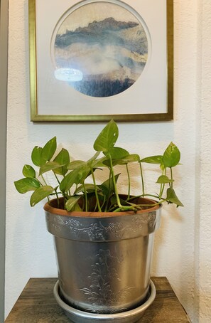 Détail de l’intérieur