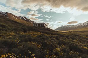 The cottage in it's surroundings