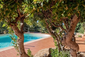 Building Exterior, Pool