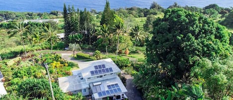 Ocean View Relaxing Gardens Hawaii