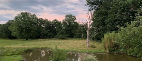 View from the deck; summer.