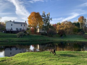 View of the back of the house (the cottage to the right is a separate rental)