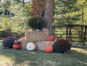 Beautiful fall display for photos 🍁