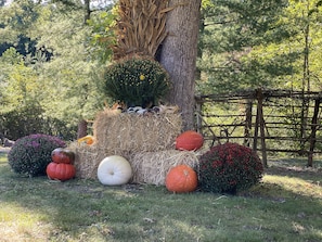 Beautiful fall display for photos 🍁