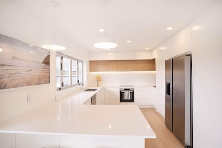 Freshly renovated kitchen. Induction cooktop, fridge with ice maker/filtered h20