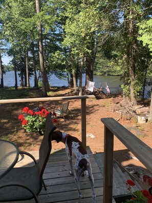 View from the outside deck from the living room