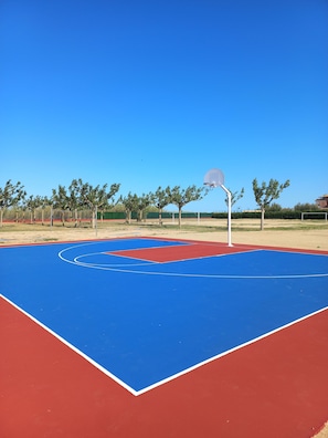 Basketplan