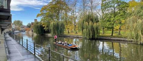 Jardines del alojamiento