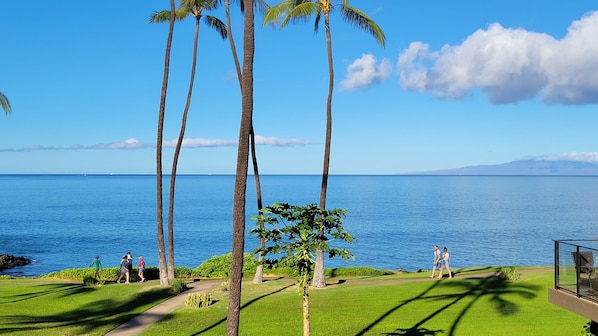 Our 1x view from the lanai. I've been accused of underselling the view. No more!