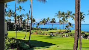 Your 1x view from the lanai.  Facing slightly south.