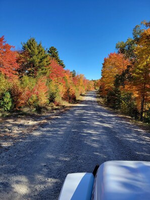 Fall Drive on the way to the Cabin