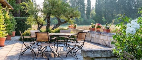 South terrace with views of the Alpilles, bordered by lavender and rosemary.
