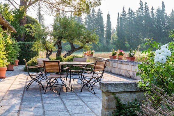 South terrace with views of the Alpilles, bordered by lavender and rosemary.
