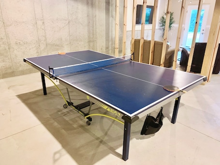 Head Downstairs and Get Your Game on Playing some Ping-Pong