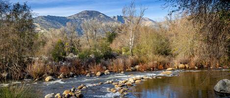 River during Winter