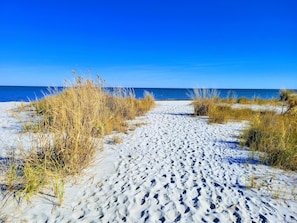 Beautiful Beaches and Chesapeake Bay, only 4 miles from the house!